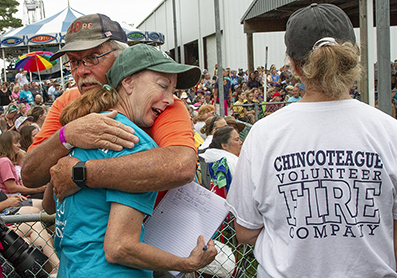 Chincoteague Wild Ponies : Personal Photo Projects : Photos : Richard Moore : Photographer